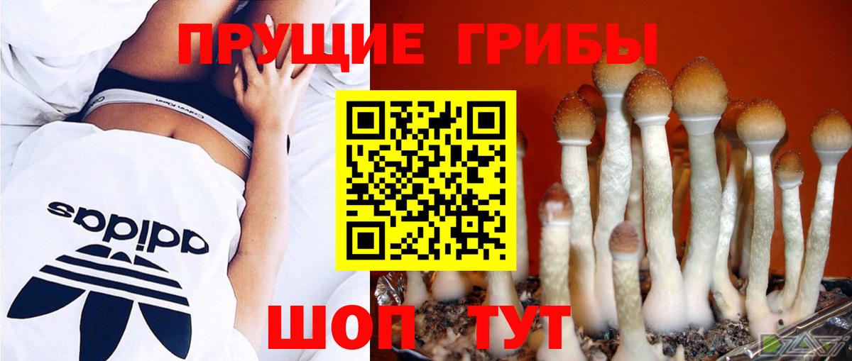 Галлюциногенные грибы мицелий  Вход с VPN  Бугуруслан 