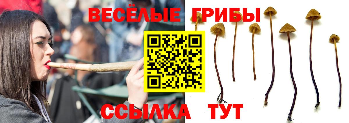 Галлюциногенные грибы мицелий Бугуруслан